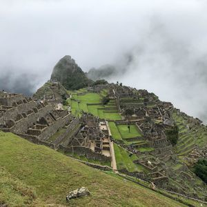 Meet your Posher, Mary